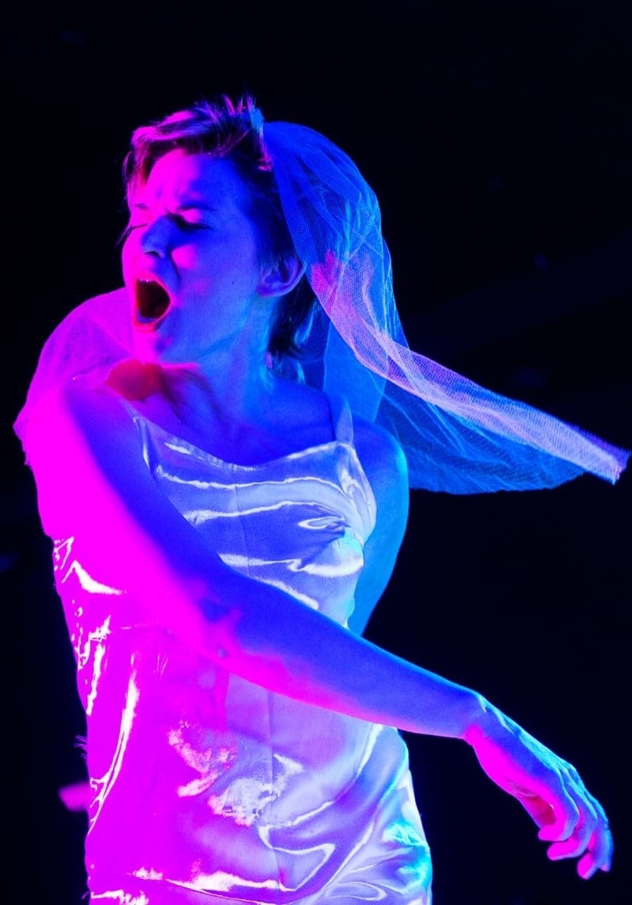 Клуб анонимных невест