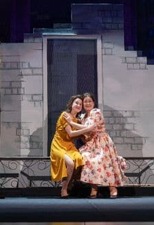 Весна моей зимы