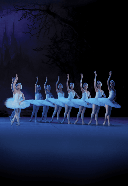 Лебединое озеро