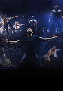 Шоу под дождем