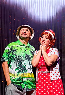 Любовь и голуби