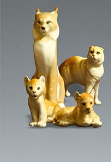 Кошки: домашние и дикие. Кураторская экскурсия по выставке