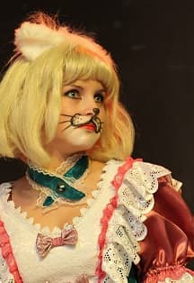 Кошкин дом