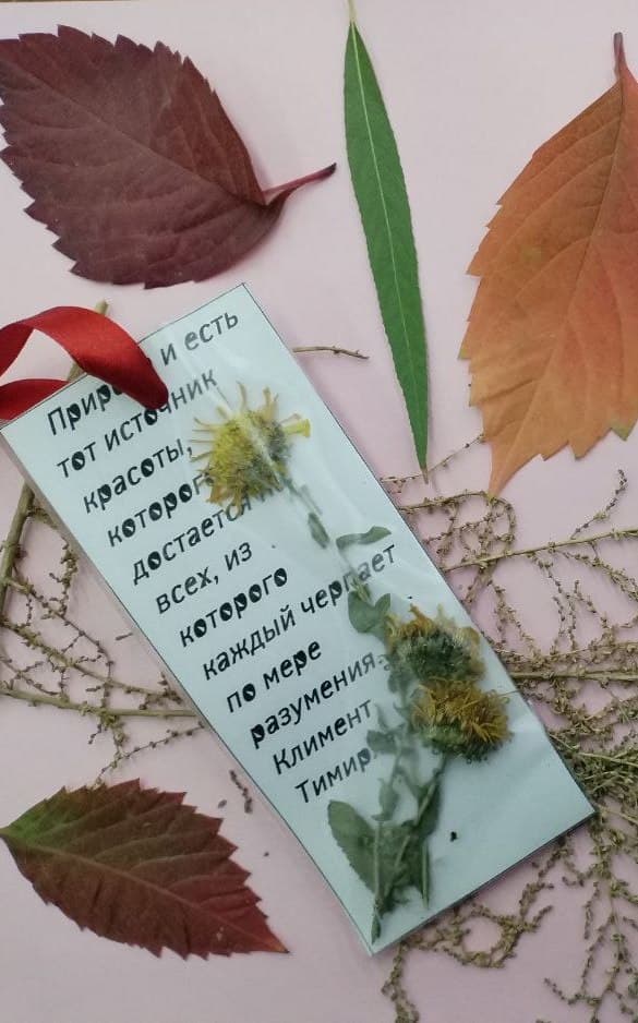 Мастер-класс по изготовлению закладки-гербария: Остановись, мгновение