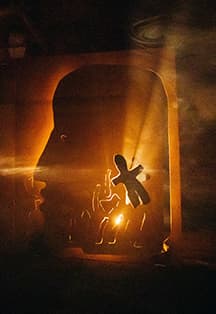 Цветок на земле