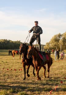 Фестиваль Дворянской охоты