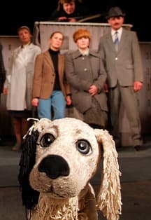 Белый Бим Черное ухо