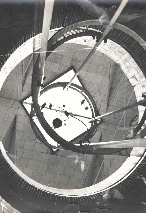 Аудиоспектакль-променад"Время птиц"