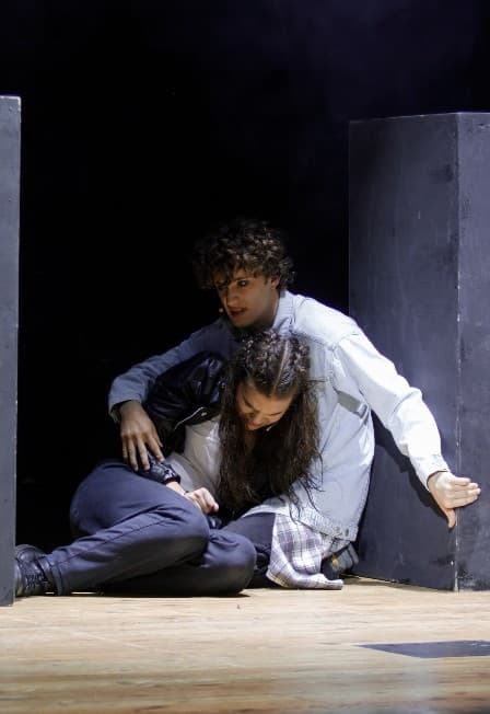 «Антигона»