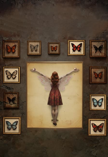 «Коллекционер»