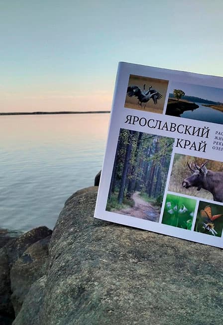 Заповедные места Ярославского края. Краеведческое путешествие