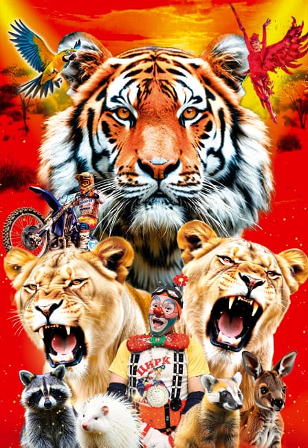 Цирк Золото Африки с программой "Тигры среди львиц"