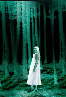 А зори здесь тихие...