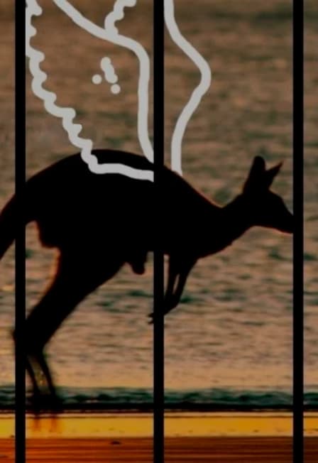 Видите ли вы кенгуру?