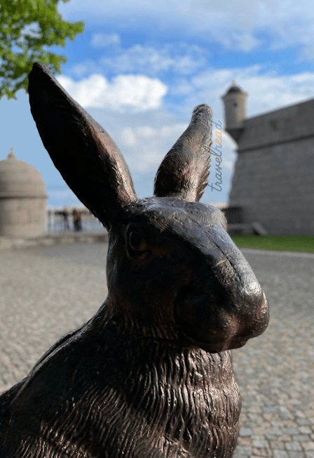 Петропавловка для детей: тайны крепости и загадочные зайцы