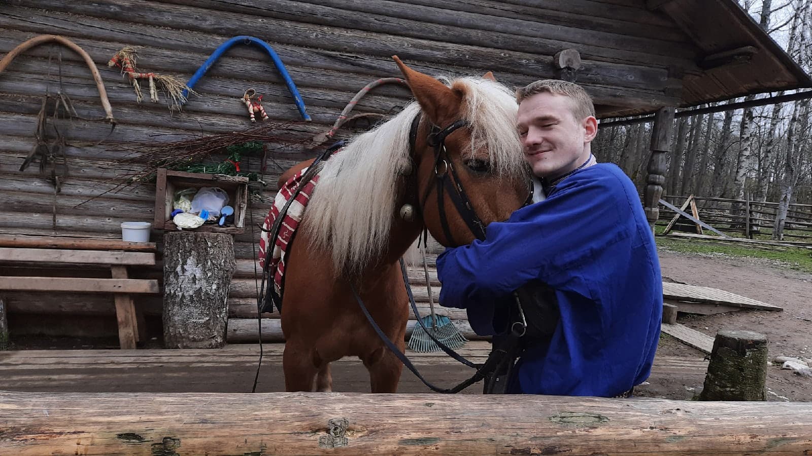 Я люблю свою лошадку (Витославлицы)