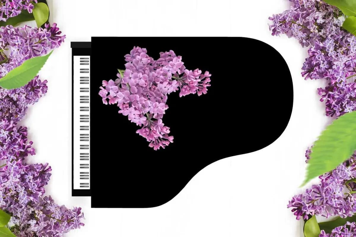 Праздничный концерт! Чайковский. Концерт №1.Вальс цветов. Моцарт. Симфония №40.Штраус. Весенние голоса