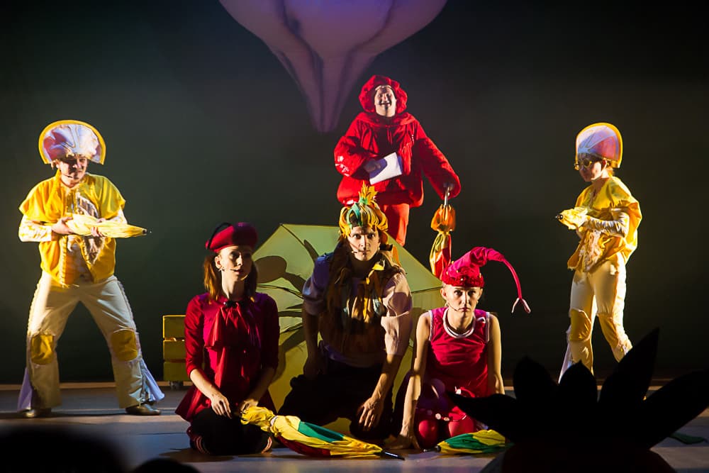 Приключения Чиполлино, или Тайна загадочного письма (Театр юного зрителя)