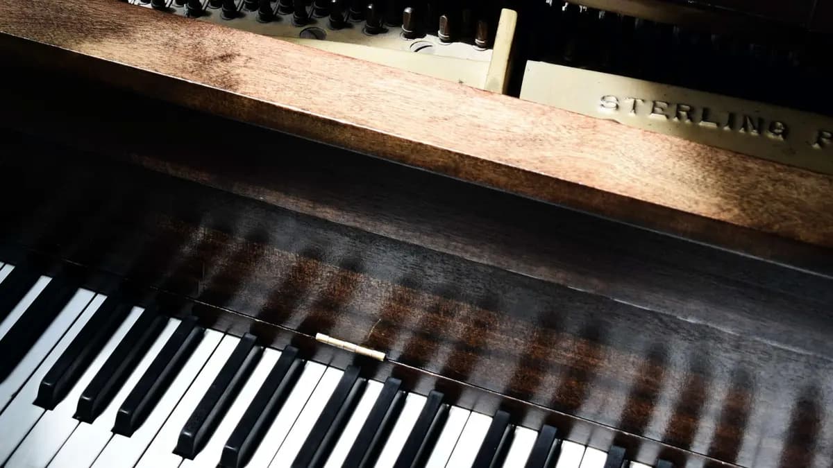 Анатомия аффекта