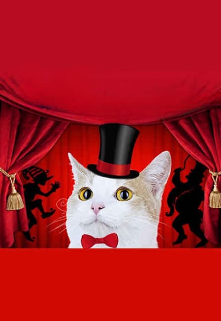 Кошки против Барабаса