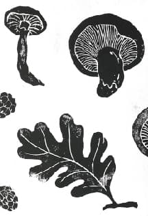 Ягоды и растения. Мастер-класс по линогравюре