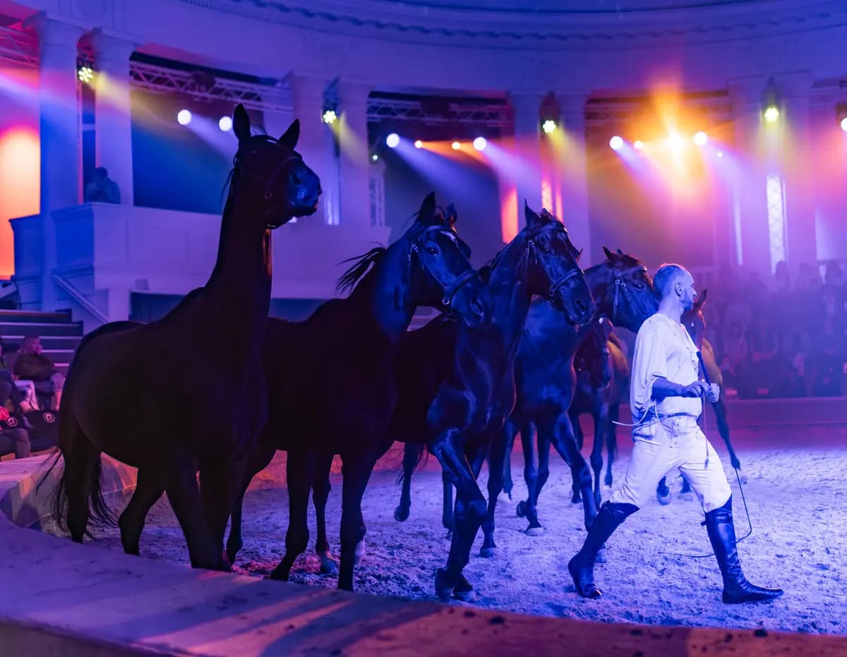 Мир на двоих (Центр национальных конных традиций)