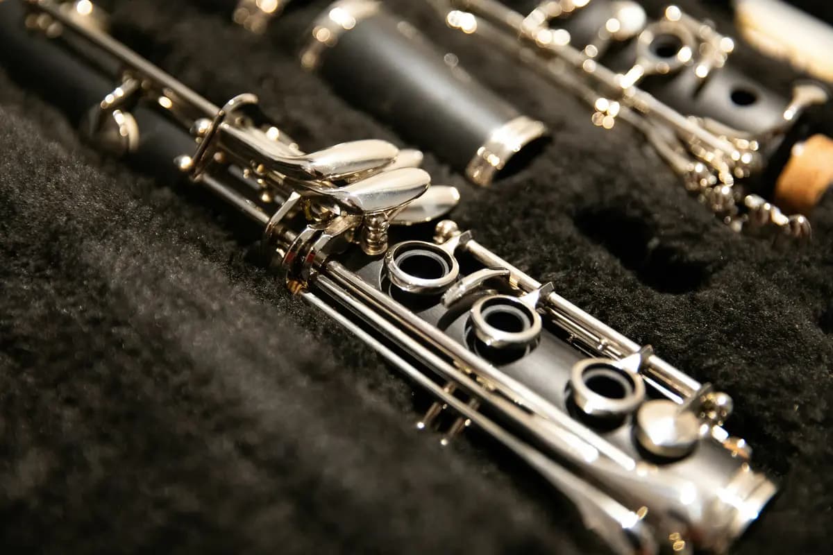 Ludus Tempore (Консерватория им. Глинки)