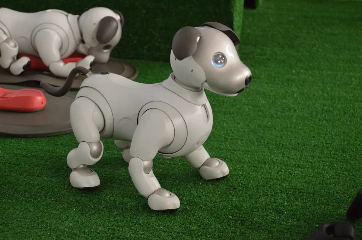 Город будущего (Совкомбанк Арена)