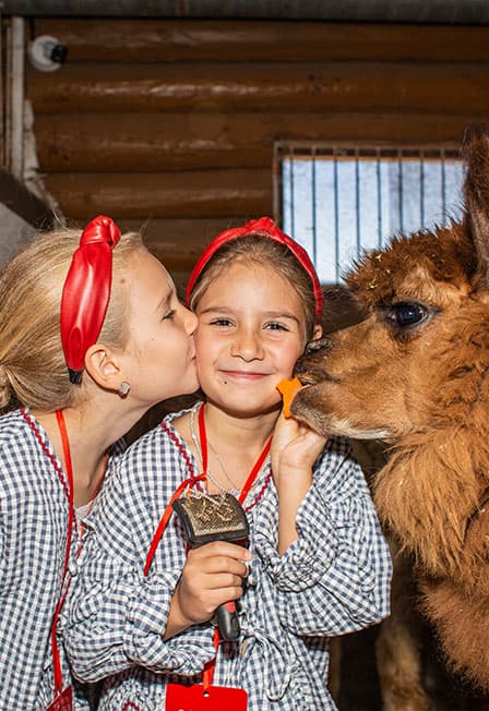 Бьюти-утро с альпаками