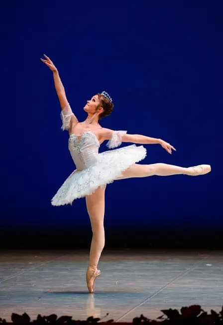 Третий тур конкурса "Арабеск"