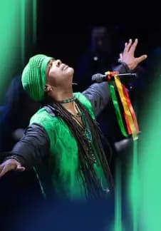 Andru Donalds «Золотой голос Энигма»