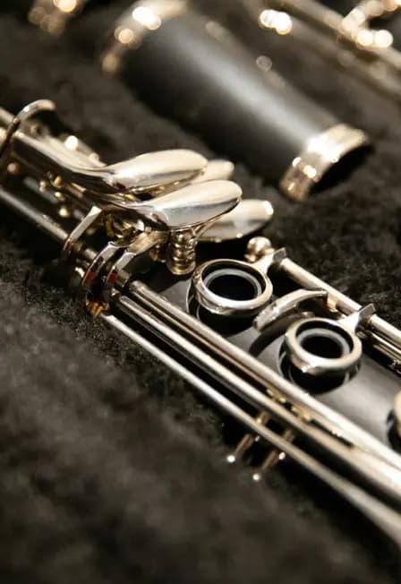 Ludus Tempore: Концерт