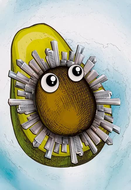 Авокадо Тян