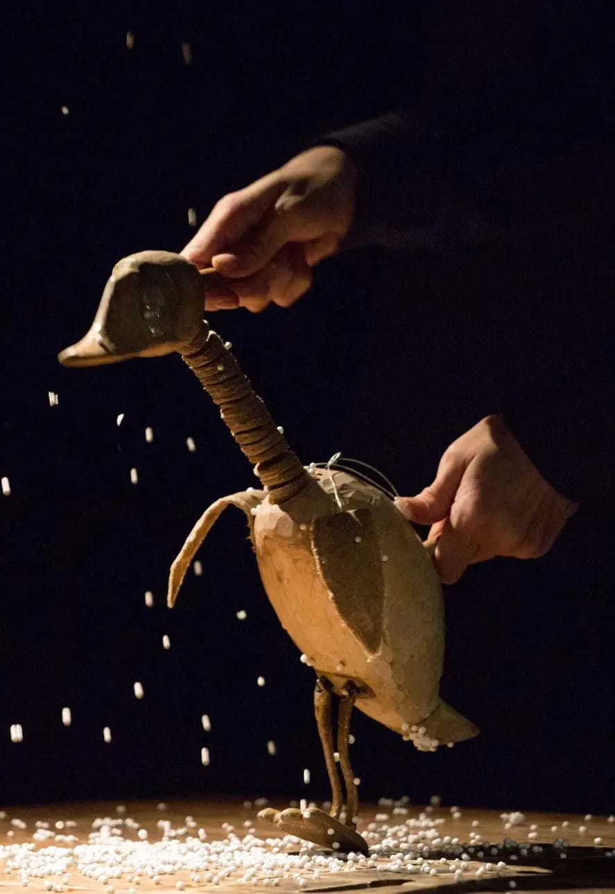 Гадкий утенок