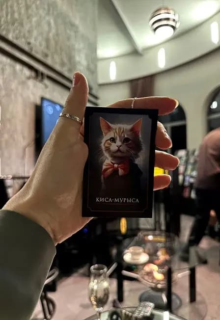 Котомафия на Башне (Зеленоградск)