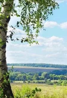 Я эту землю Родиной зову: Краеведческий час