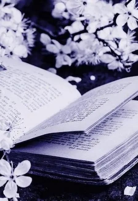 О поэте говорят стихи. Поэтический ринг