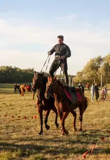 Фестиваль Дворянской охоты