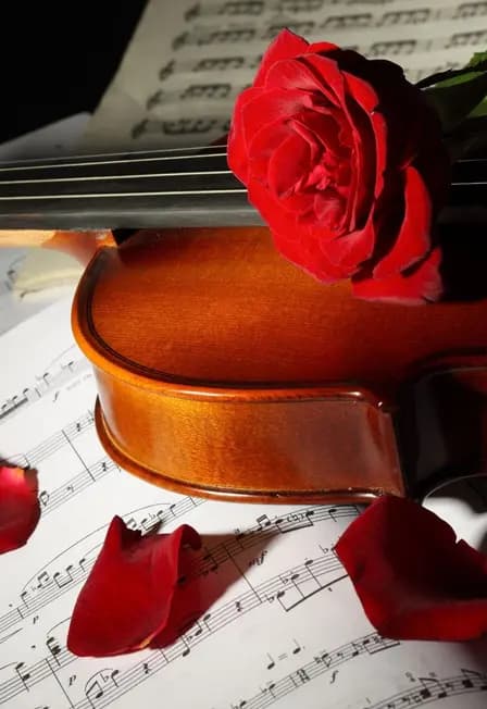 музыкально-поэтическая элегия «Я знаю, что все женщины прекрасны»