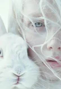 EMBARGO WHITE FESTIVAL 2026