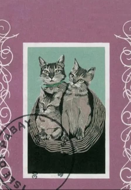 Порез на собаке