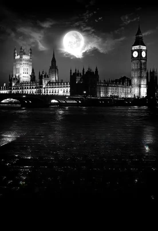 "TODD". Премьера. Новое живое звучание!