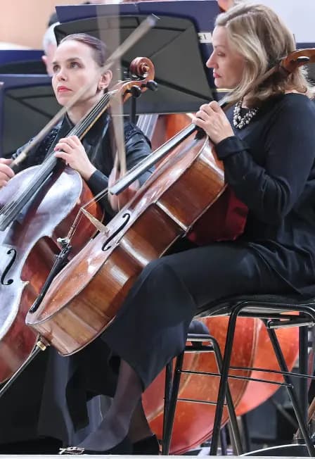 *2.6 Серенады Моцарта