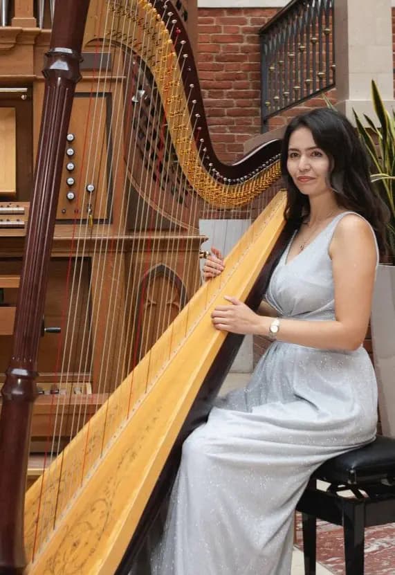 Органный концерт «Неоклассика на органе и арфе. Эйнауди, Тьерсен, Циммер»