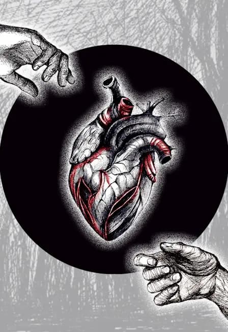 Теневой хоррор «Отдай моё сердце»