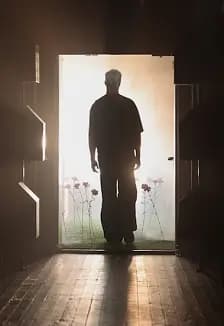 Жёлтая стрела