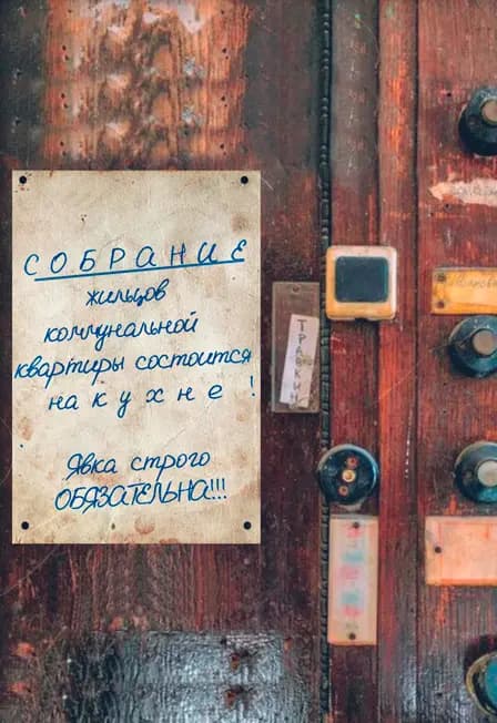 Шоу "Камон, Alka"