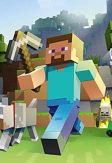 Майнкрафт шоу