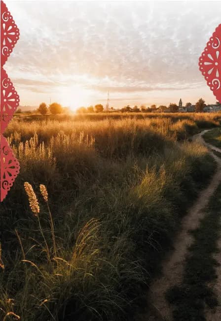 Посреди Нигде