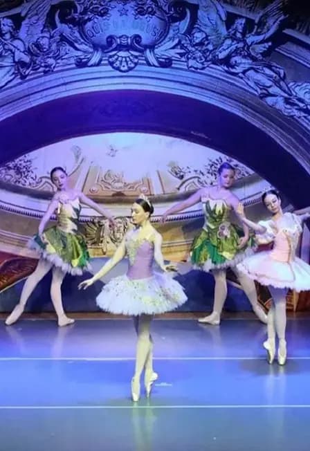 Спящая Красавица (Новочебоксарск)